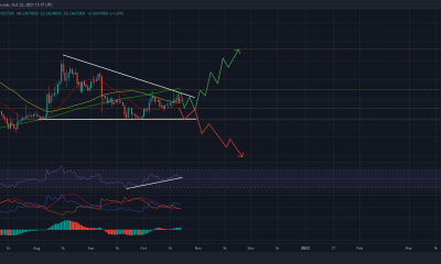 El rally de Dogecoin esperará hasta que niegue esta configuración bajista