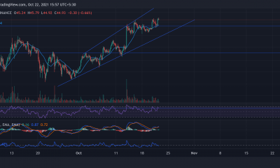 Polkadot, Ethereum Classic, Monero Análisis de precios: 22 de octubre