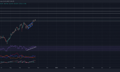 Que esperar de la acción del precio de Polkadot antes de que se activen las subastas de parachain