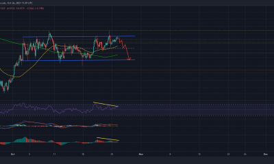 EOS: los comerciantes pueden aprovechar estos escenarios al ...