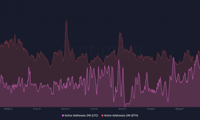 Litecoin invierte Ethereum en términos de direcciones activas;  puede mantener esta racha