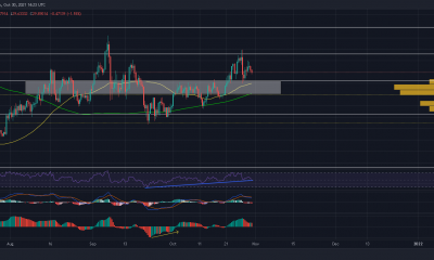 Esta zona de soporte puede mantener la perspectiva alcista de Chainlink.