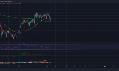 ¿Por qué podría ser la respuesta a si Litecoin regresará?