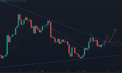 Dogecoin se prepara para un 'rally de varios meses', una vez que 'elimina esa área de arriba ...'