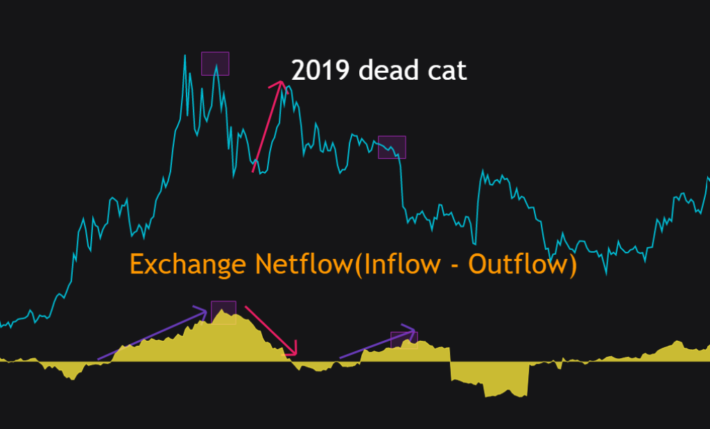 Bitcoin: ¿Son las ganancias rápidas un 'rebote de gato muerto' o un camino a $ 100,000?