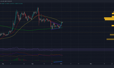 Estos factores abrirán la ruta de XRP a $ 1.30