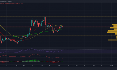 XRP: ¿Cuál es el mejor curso de acción para los comerciantes?