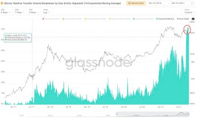 La locura de Bitcoin en curso podría convertir a las instituciones en HODLers a largo plazo