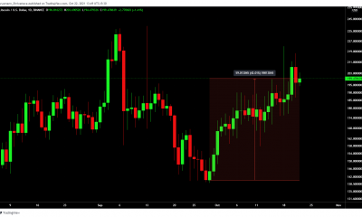 Litecoin puede estar cayendo, pero aquí es donde los inversores pueden entrar en juego