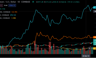 Esta nueva idea hace que Cardano, Ethereum sea similar a los 'estados-nación' soberanos