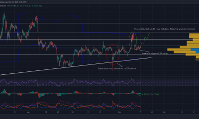 Evaluando las probabilidades de que Ethereum Classic tenga en cuenta un aumento inmediato del 13%