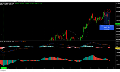 ¿Qué harán las ballenas Bitcoin altamente activas, movidas por la moneda rey durante la próxima semana?