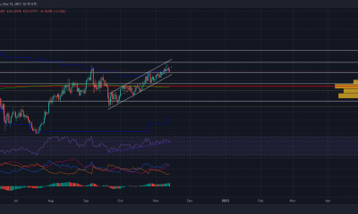 La fuerte tendencia alcista de Chainlink debe superar este nivel para evitar resultados nefastos