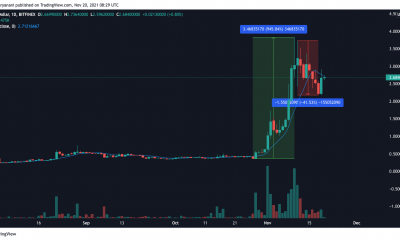 Publica un aumento del 1000%, Loopring se dirige en esta dirección