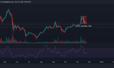 Analizando la posibilidad de que Litecoin obtenga grandes ganancias, gracias a una red en crecimiento