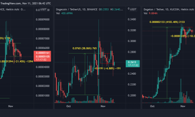 ¿Shiba Inu, Dogecoin, Dogelon Mars tienen algo de 'mordisco'?