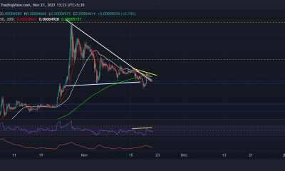 Análisis de precios de Shina Inu, Chainlink, VeChain: 21 de noviembre