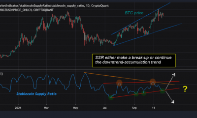 Bitcoin: noviembre podría ver ganancias del 40%, pero ¿qué sigue en el corto plazo?