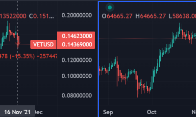 VeChain subvierte las expectativas del mercado, pero ¿que significa?