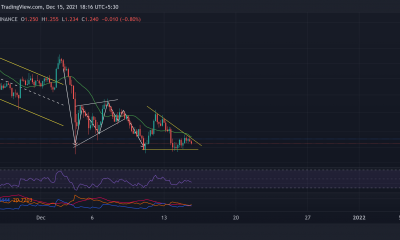 Cardano, Shiba Inu, análisis de precios de IOTA: 15 de diciembre