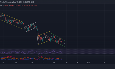 Polkadot, Avalanche, Bitcoin Cash Price Analysis: 17 de diciembre