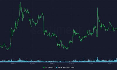 Con los 'asesinos de DOGE' proliferando, Dogecoin debe demostrar su valía a pesar del tweet de Musk