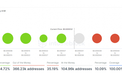 Las ballenas Ethereum que compran Shiba Inu solo pueden tirar del carro hasta ahora, a menos que….