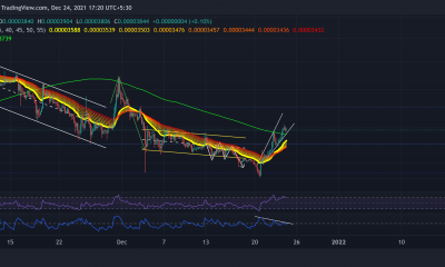 Shiba Inu, The Sandbox, Bitcoin Cash Price Analysis: 24 de diciembre