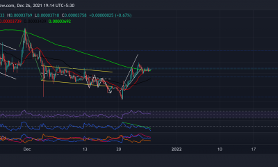 Shiba Inu, MANA, Bitcoin Cash Price Analysis: 26 de diciembre