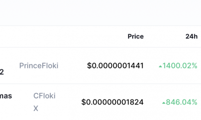 Con tres, los tokens Floki ganadores principales en la imagen, es hora de hablar sobre las banderas rojas