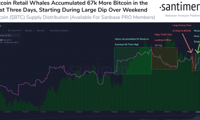 Esta ballena aprovecha al máximo el frenesí de 'buy the dip', adquiere más de 2700 Bitcoin en un día