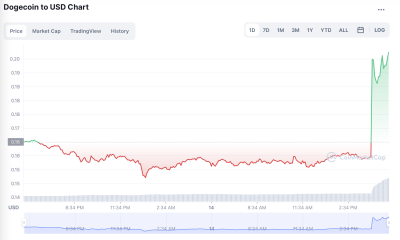 Se mueve la cola por el tweet de Elon Musk, Tesla aceptará a DOGE por 'algo de mercadería'