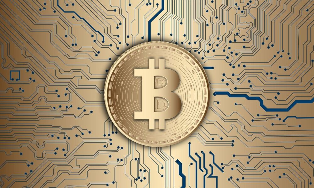 Informe revela que Bitcoin es el ejemplo de las criptomonedas en las redes sociales este año