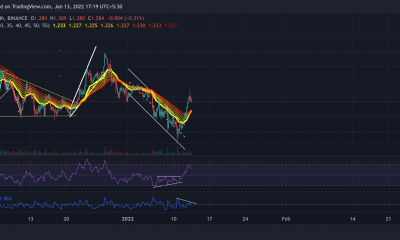 Análisis de precios de Cardano, Algorand y Filecoin: 13 de enero