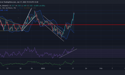 Análisis de precios de Cardano, Avalanche, Algorand: 17 de enero