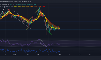 Análisis de precios de Cardano, Polkadot, GALA: 31 de enero