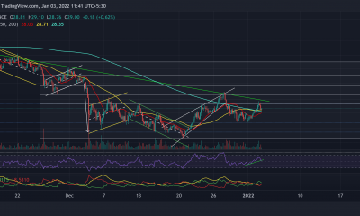 Análisis de precios en efectivo de Polkadot, Dogecoin y Bitcoin: 03 de enero