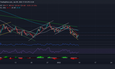 Análisis de precios de Polkadot, Shiba Inu, VeChain: 09 de enero