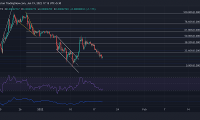 Análisis de precios de Shiba Inu, LUNA, VeChain: 19 de enero