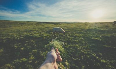 Este legislador cree que España puede atraer a los mineros de Kazajstán, asolada por las protestas