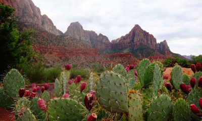 ¿Bitcoin es una moneda de curso legal en Arizona?  He aquí por qué será un hueso duro de roer