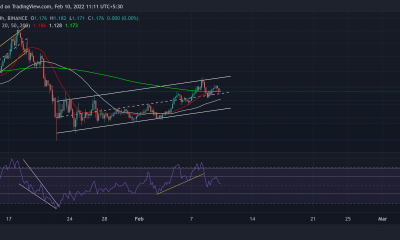 Análisis de precios de Cardano, Elrond y Neo: 10 de febrero