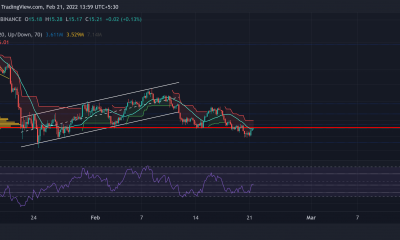 Chainlink, VeChain, análisis de precios de sushi: 21 de febrero