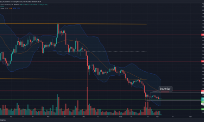 Bitcoin Cash podría subir a este nivel antes de su siguiente etapa a la baja