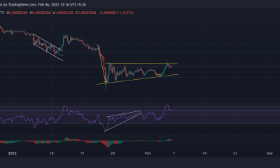 Análisis de precios de Shiba Inu, Chainlink, EOS: 06 de febrero