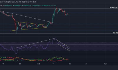 Análisis de precios de Shiba Inu, Binance Coin, Avalanche: 13 de febrero