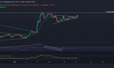 Análisis de precios de Shiba Inu, Chainlink, MANA: 17 de febrero