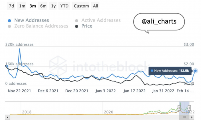 Cardano: las nuevas direcciones aumentan en un 167%, ¿suena una corneta alcista para los titulares de ADA?