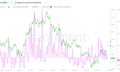 ¿Bitcoin siguiendo al S&P500?  El sentimiento de los inversores nos dice lo que está pasando