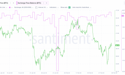 Las ballenas están haciendo 'transacciones masivas';  ¿Qué significa para los comerciantes de BTC?